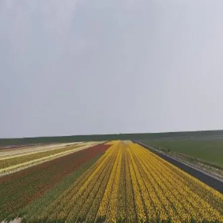 In Texel Near Dunes & Water