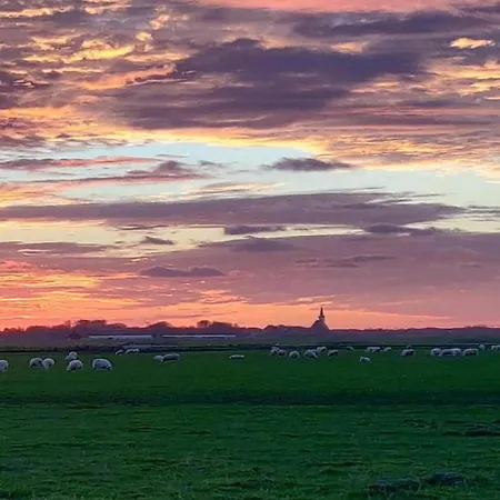 Holiday home In Texel Near Dunes & Water *