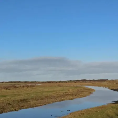 In Texel Near Dunes & Water * De Cocksdorp (Texel)