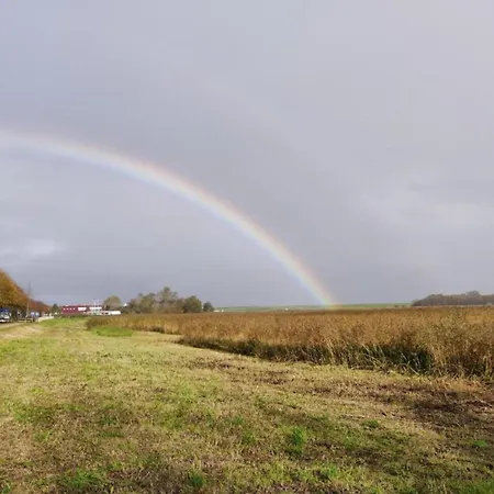 In Texel Near Dunes & Water Holiday home *