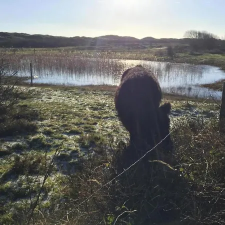 In Texel Near Dunes & Water Holiday home