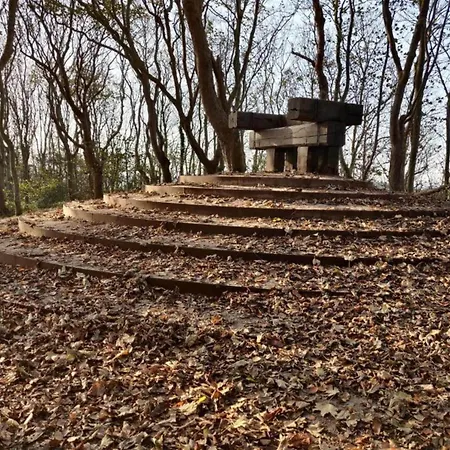 In Texel Near Dunes & Water * De Cocksdorp (Texel)