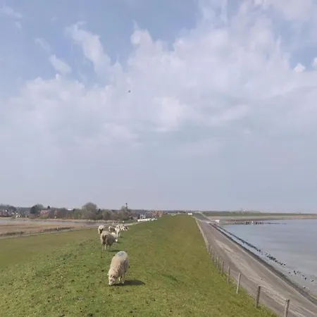 In Texel Near Dunes & Water