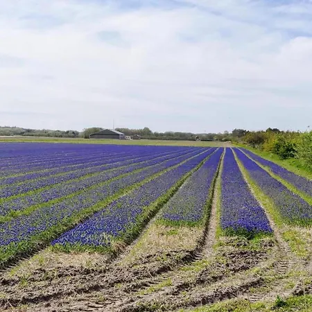 In Texel Near Dunes & Water * De Cocksdorp (Texel)